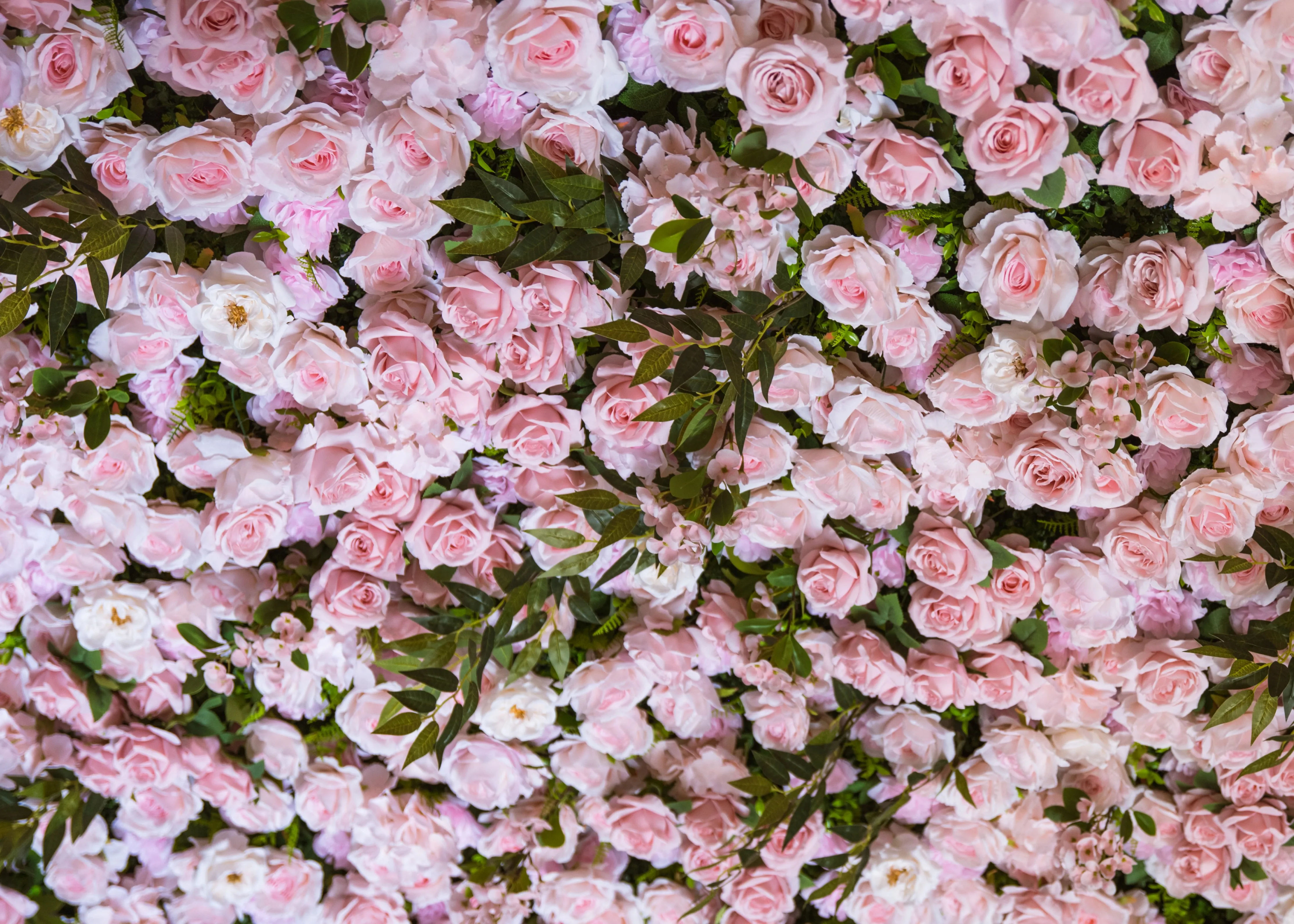 Chateaux Rose Champagne Rosé flower wall